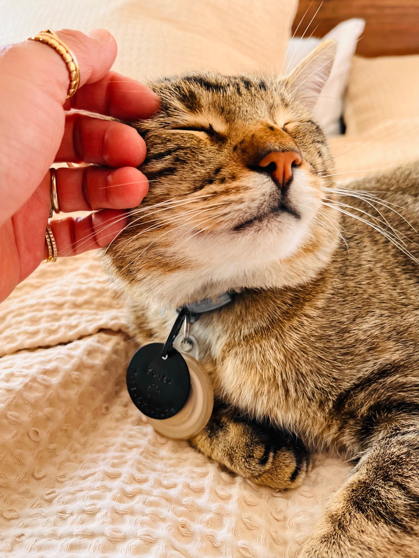 Custom Pet Tag