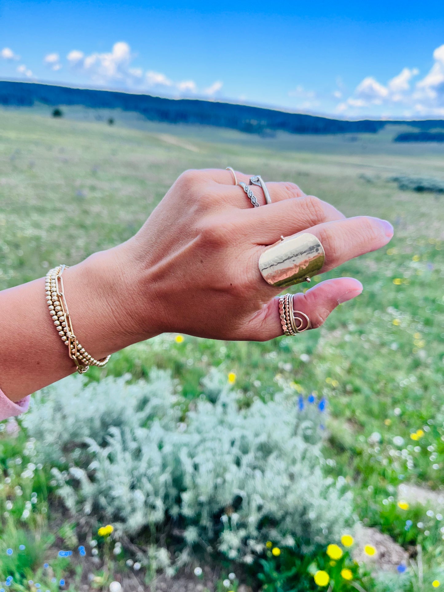 Large Disc Ring - Hammered