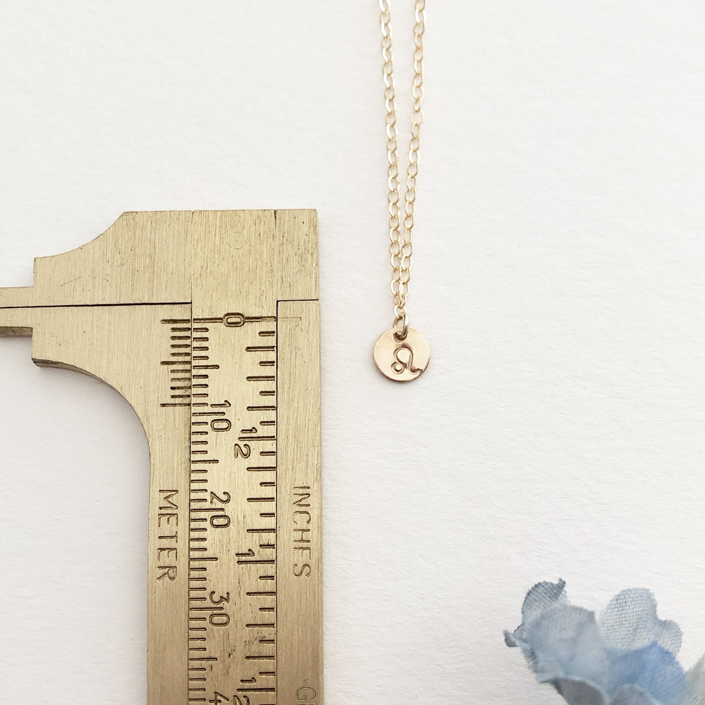 Tiny Zodiac Necklace