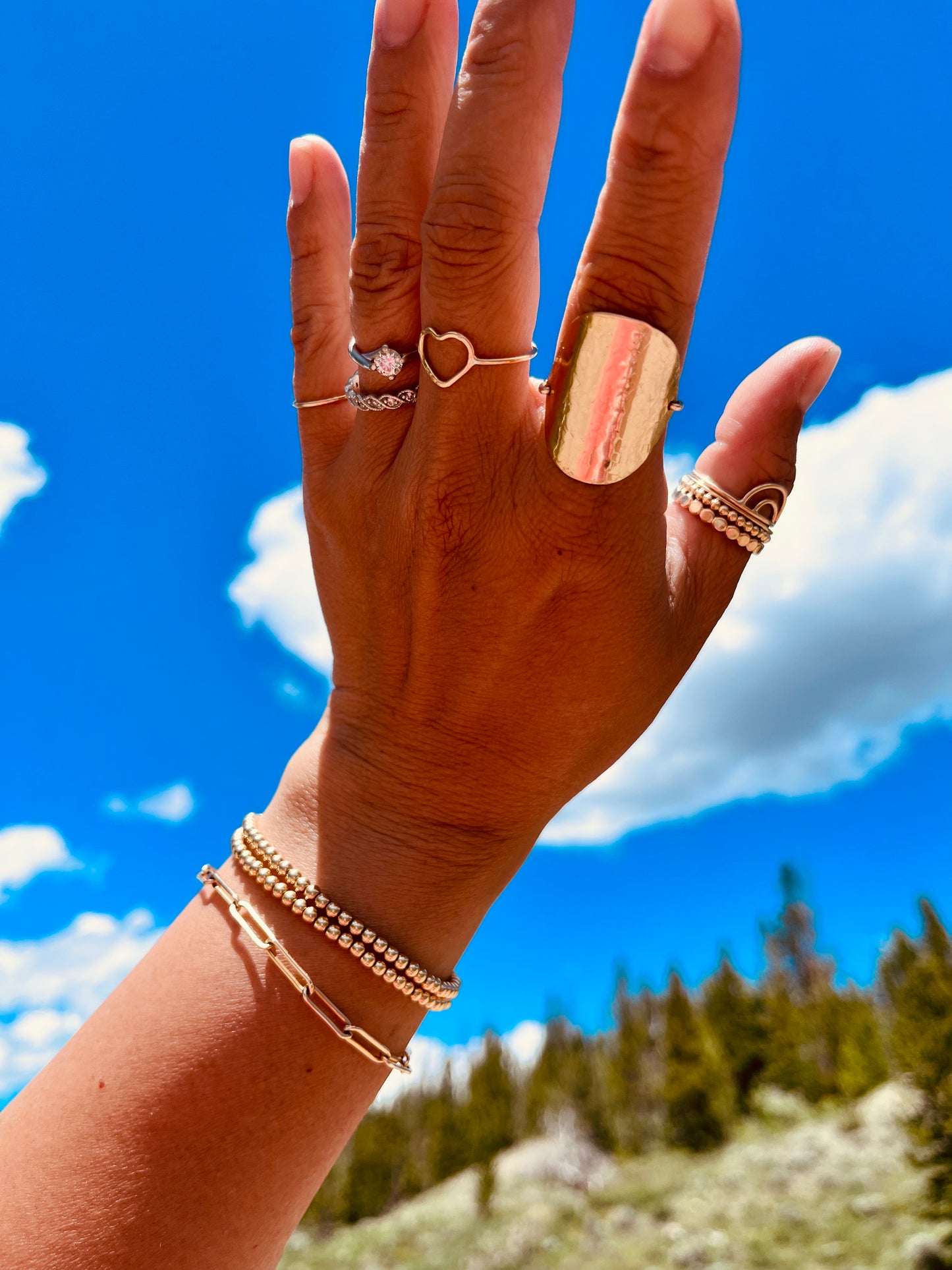 Large Disc Ring - Hammered