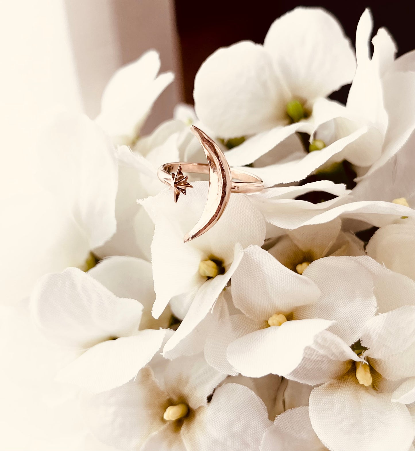 Eclipse Ring