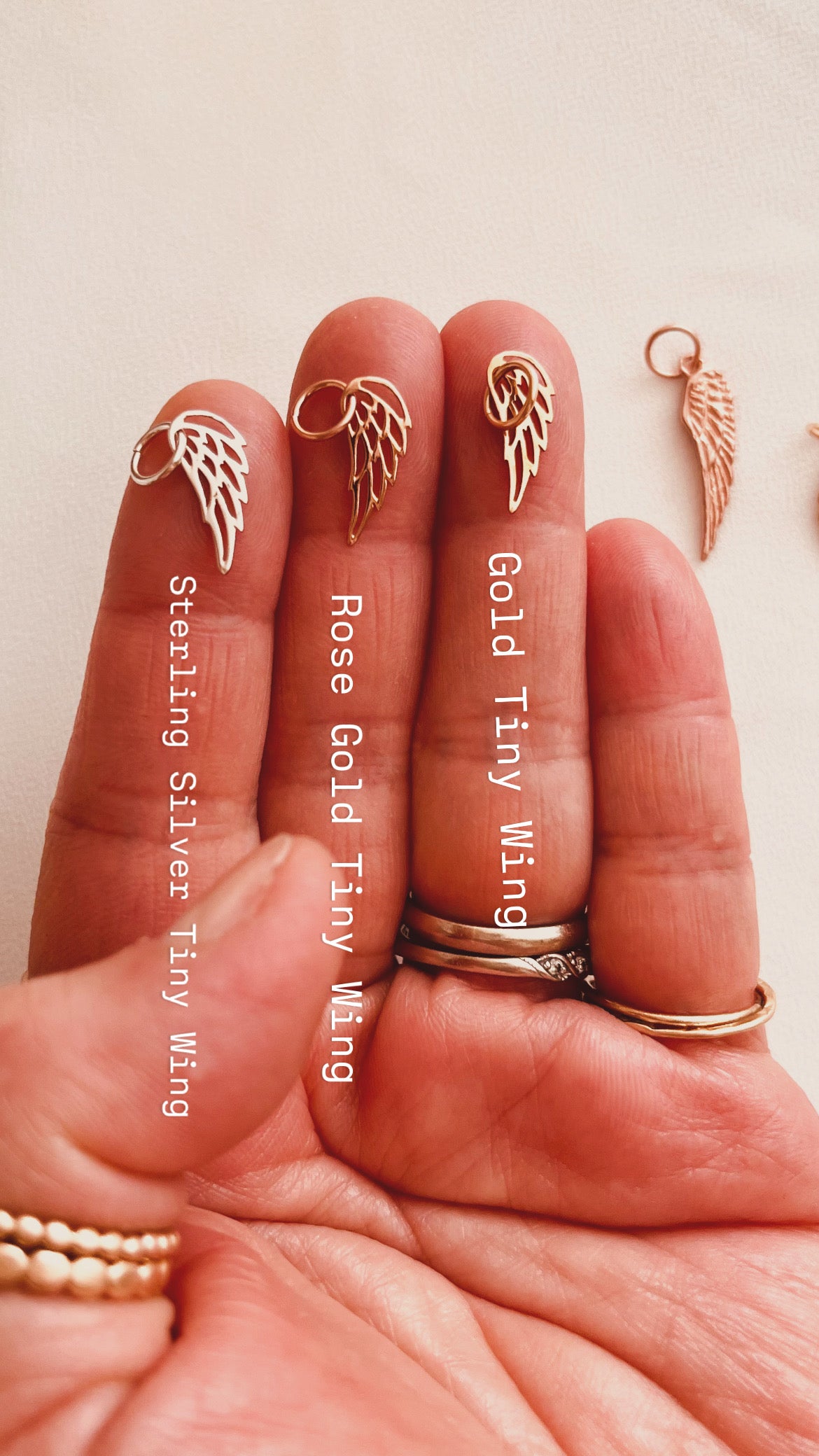 Angle Wing Collection