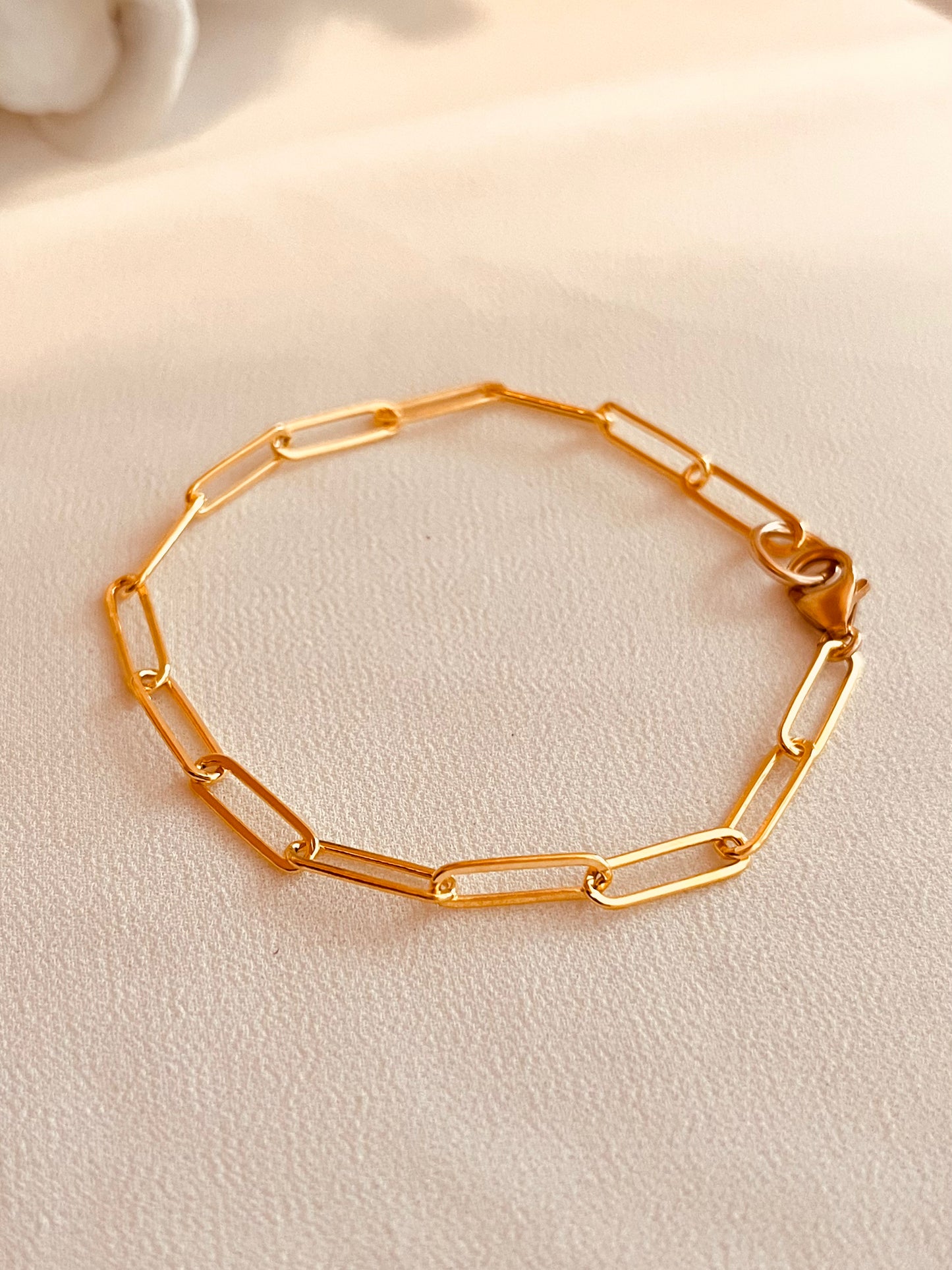 Minimal. Elegant. Everyday shine.

A timeless classic — this sleek paperclip chain bracelet adds effortless sophistication to your everyday look. Lightweight yet durable, it’s perfect for layering or wearing solo. Handcrafted in my little mountain studio at 8,000 ft, it’s designed for 24/7 wear — swim, shower, and adventure approved.