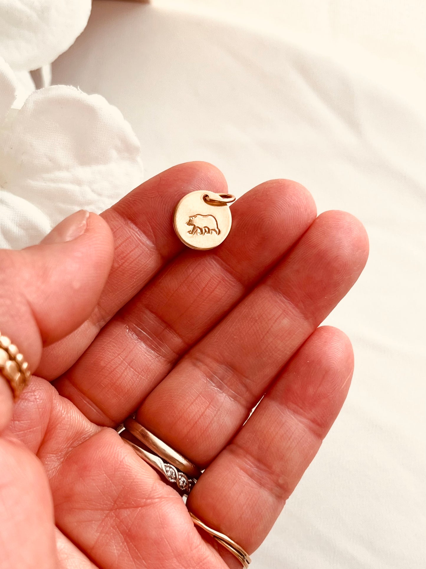 Mountain Charm Collection