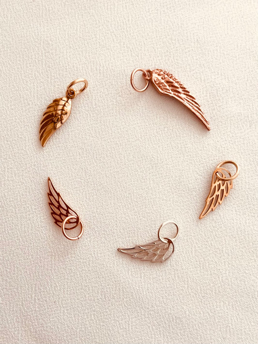 Angle Wing Collection