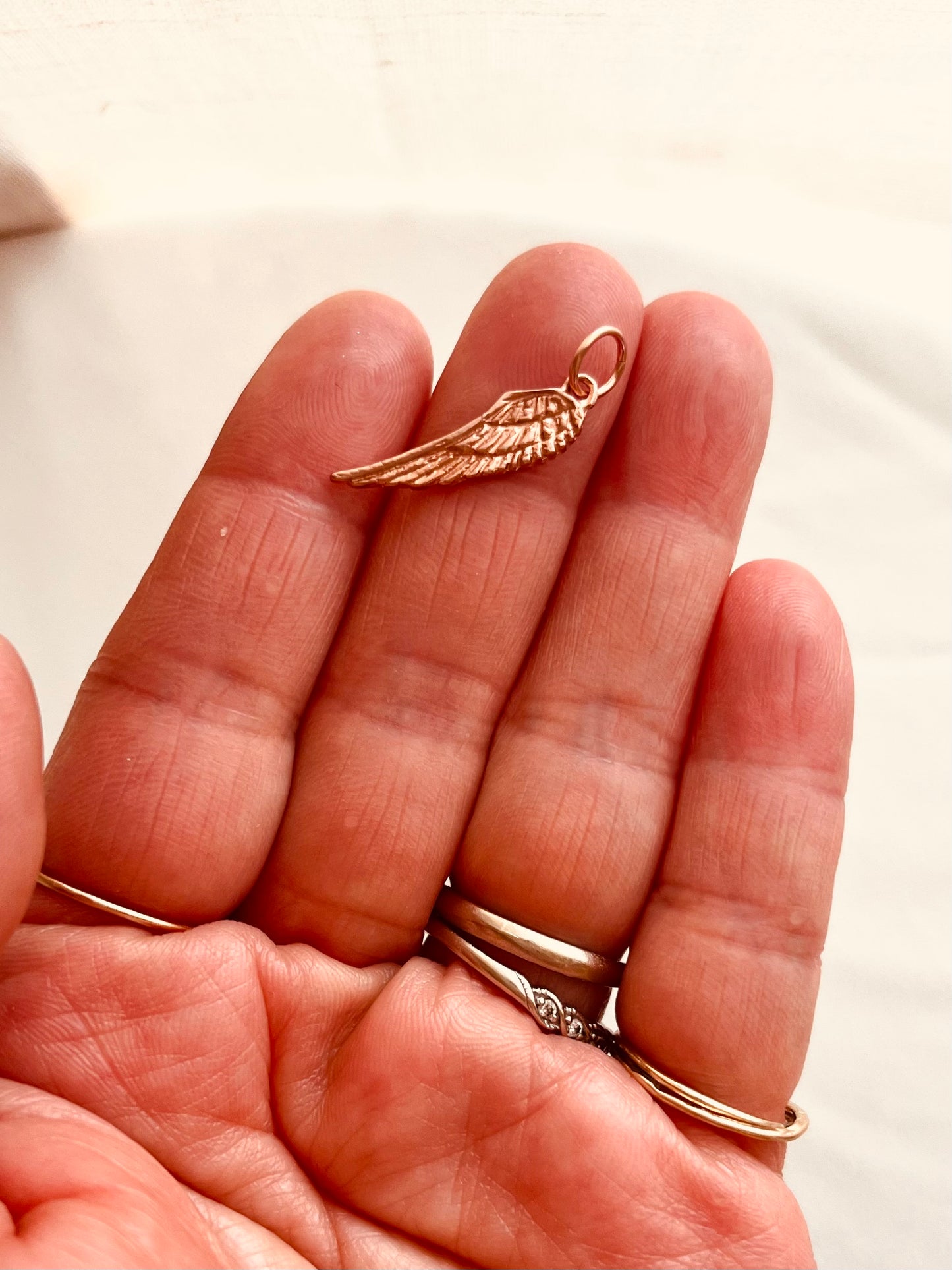 Angle Wing Collection